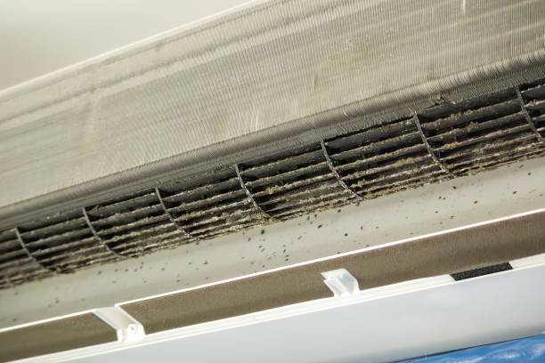 Best Emergency Air Duct Cleaning  in Saltillo, MS